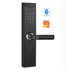 TUYA USB αντιφατική κατεύθυνση έκτακτης ανάγκης κλειδαριών εγχώριων πορτών λιμένων έξυπνη για τη μπροστινή πόρτα
