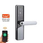 Κάρτα Password Tuya Deadbolt Χωρίς κλειδί έξυπνο κλειδί δακτυλικών αποτυπωμάτων πόρτα κλειδαριές έξυπνα κλειδαριά