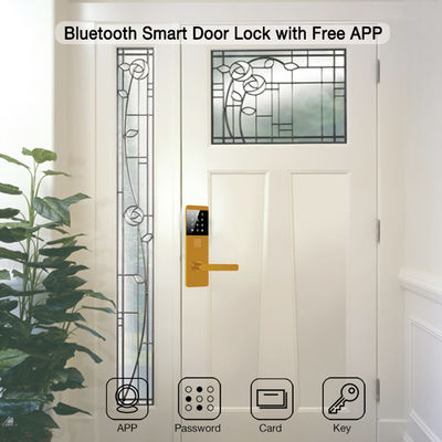 Αλουμινίου TTlock Password Ηλεκτρονικές έξυπνες κλειδαριές πόρτας για διαμερίσματα Home Office