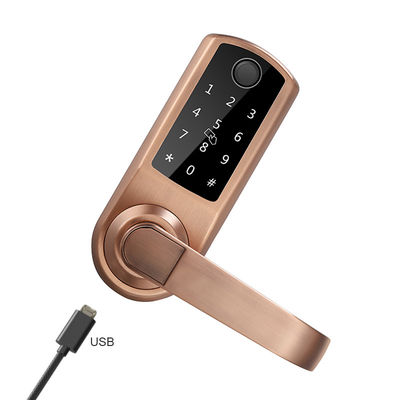 Ελεγχόμενη είσοδος μπαταριών RFID Keyless κλειδαριών 4xAA πορτών BLE TTLock App